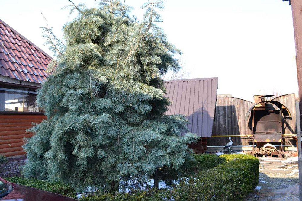 продажа отель Бориспольский, Борисполь, 497000 $ Бориспіль - зображення 12