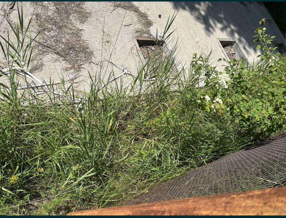 продажа участок под жилую застройку Киево-Святошинский, Бобрица, 41000 $  - зображення 4