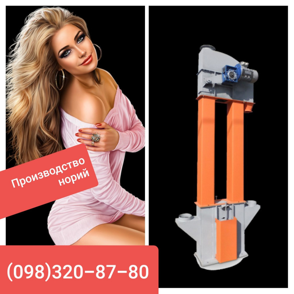 Нории НЦ5-100 /чт Київ - зображення 4