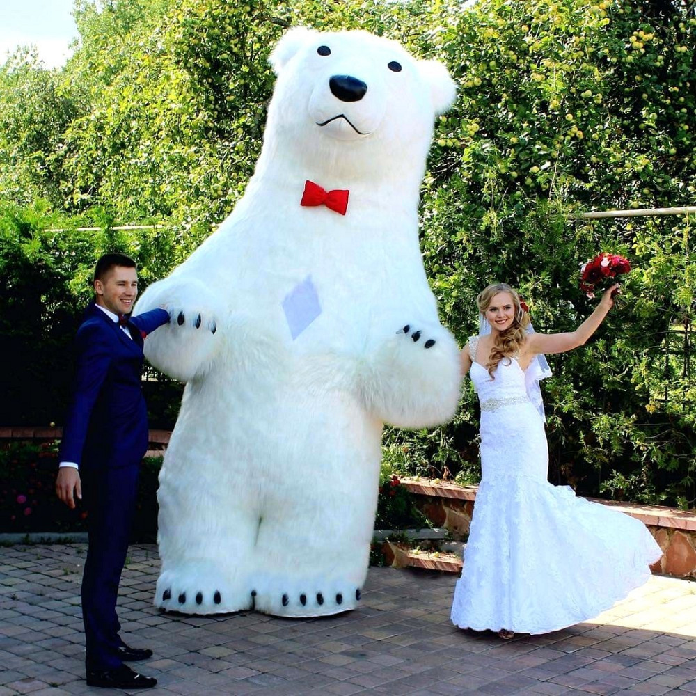 Белый медведь Житомир,Бердичев,Чернихов,Радомышль,Казатин,Брусилов,Романов,Коростень,Хмельник заказ. Житомир - зображення 1