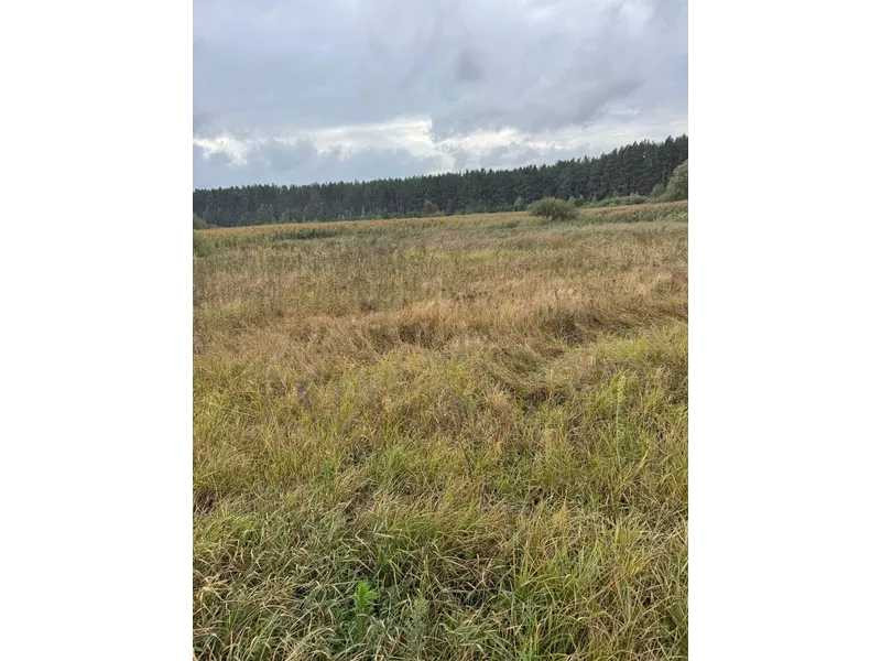 продажа земля сельскохозяйственного назначения Вышгородский, Литвиновка, 341828 грн.  - изображение 8