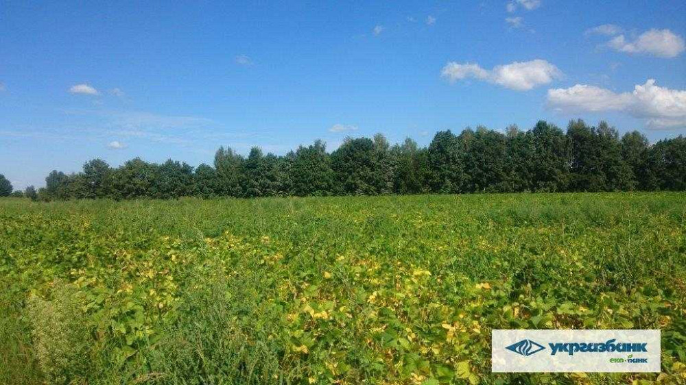 продажа участок под жилую застройку Васильковский, Зозули, 805000 грн.  - зображення 7