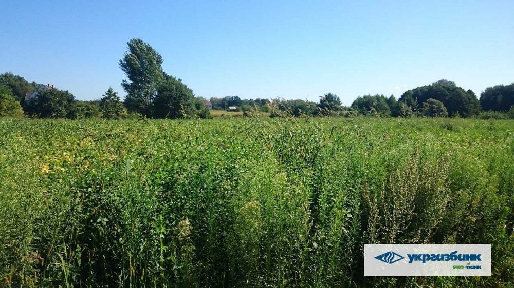 продажа участок под жилую застройку Васильковский, Зозули, 805000 грн.  - зображення 2