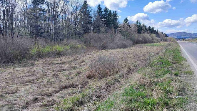 Земельна ділянка в Делятині 0.28 га Яремче - зображення 2