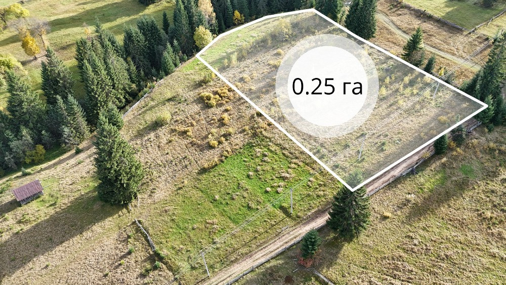 Земельна ділянка в Яблуниці 0.25 га Яремче - зображення 1