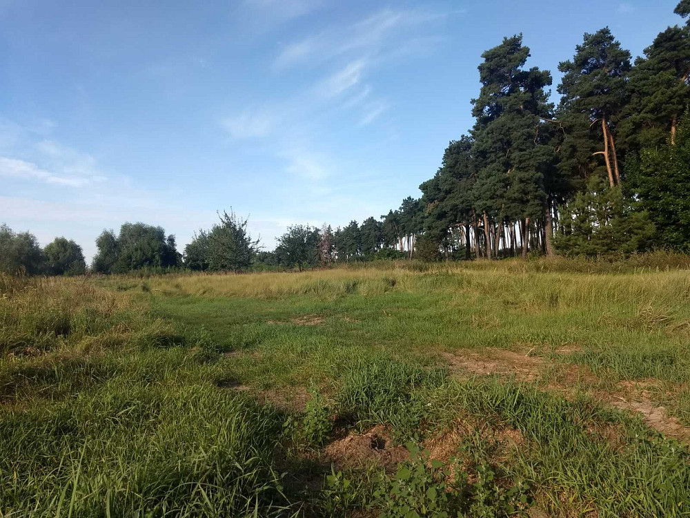 Земельна ділянка площею 0,5000 га в с. Дернівка Барышевка - изображение 9