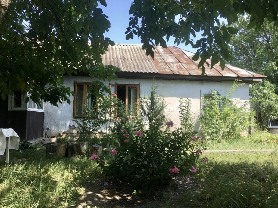 Продам будинок з великою ділянкою в с. Пилиповичі Бородянка - зображення 1