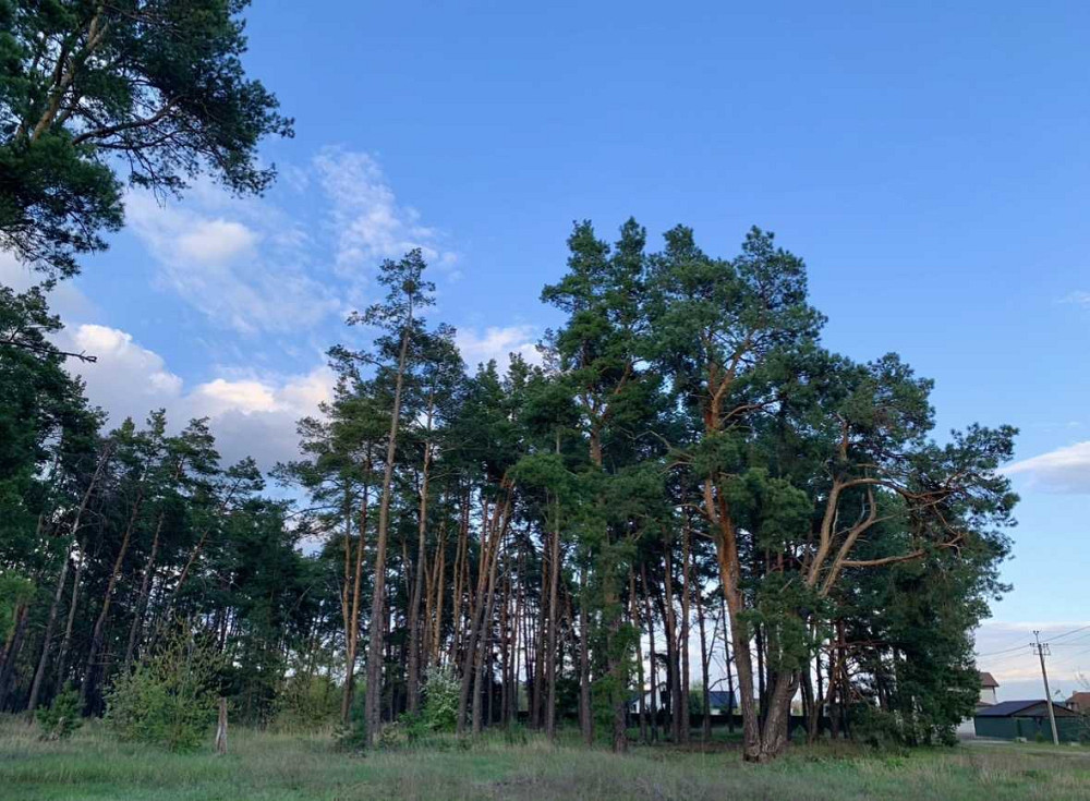 продажа участок под жилую застройку Вышгородский, Новоселки, 14500 $  - изображение 9