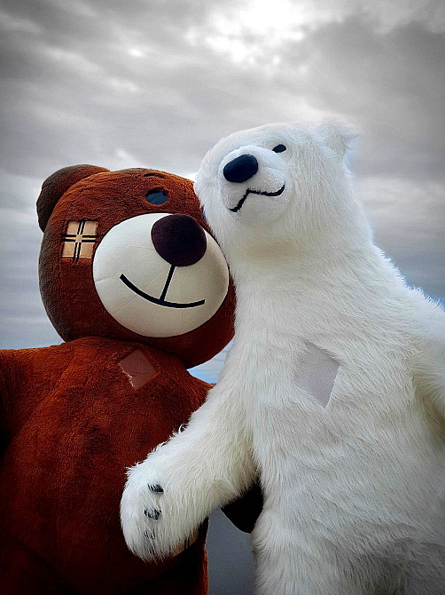 Белый медведь Бровары,Буча,Ирпень,Переяслав.Борисполь,Обухов,Чернигов,Боярка,Васильков,Нежин заказ. Київ - зображення 2