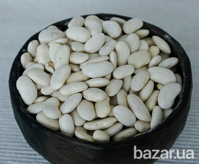 Фасоль на переработку куплю Полтава - изображение 1