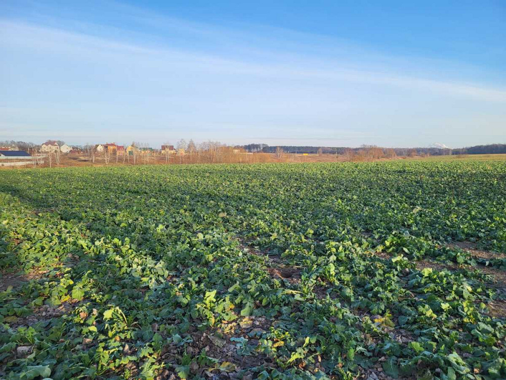 продажа земля сельскохозяйственного назначения Васильковский, Кожуховка, 2071000 грн.  - изображение 1