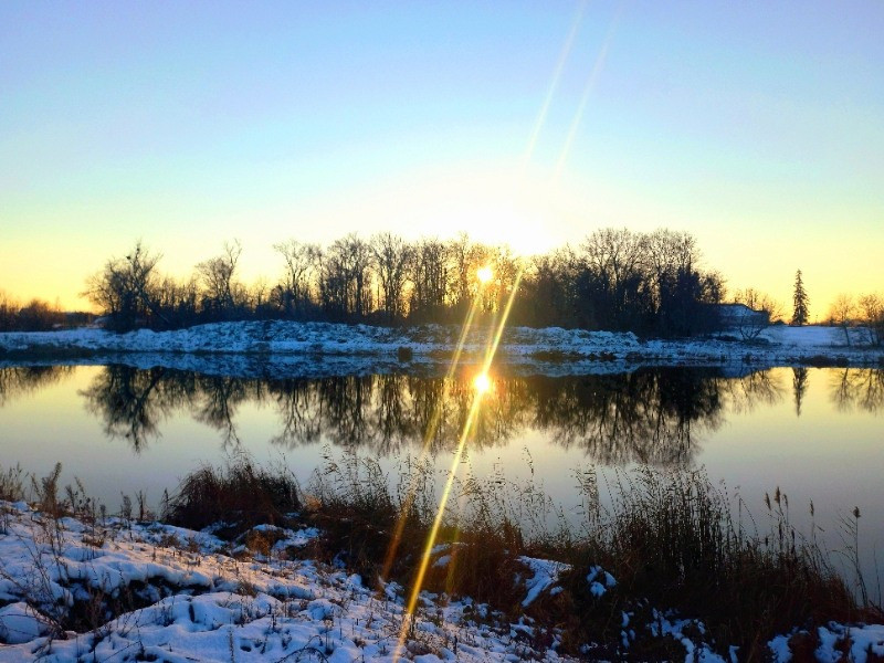 Ділянка з вигідним розташуванням. Мотижин. 20 соток Київ - зображення 3
