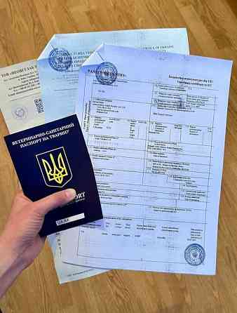 подготовка документов для выезда животных за границу Днепр