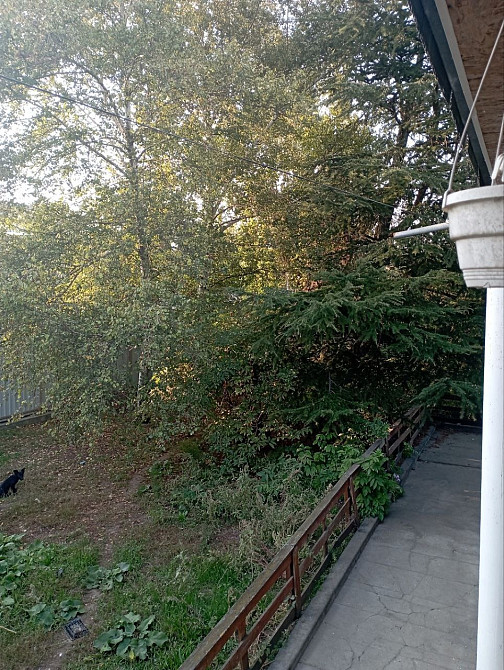 дом для большой семьи или под бизнес Одеса - зображення 6