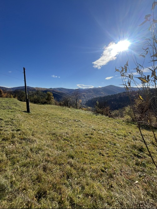 Земельна ділянка в Яремчі 0.12 га Яремче - зображення 6