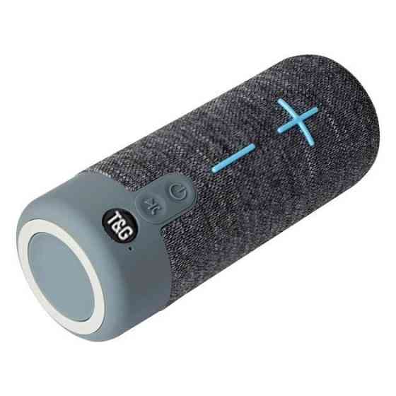 Колонка портативная Bluetooth T&G TG619 grey серая Київ