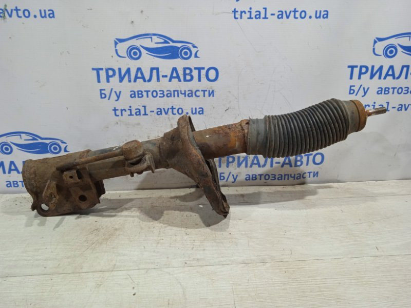 Амортизатор задний Hyundai Tucson JM 2.0 DIESEL D4EA 2004 задн. лев. (б/у) Киев - изображение 1