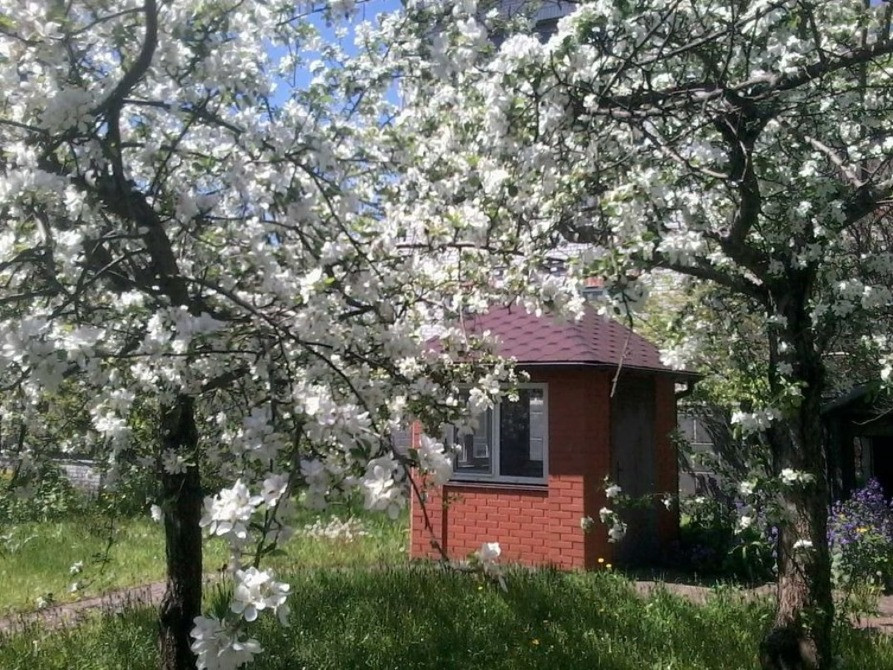 Продається дача в Зазим'ї на Десні Броварський р-н Бровары - изображение 11