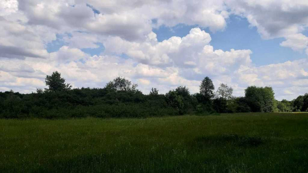 продажа земля сельскохозяйственного назначения Бориспольский, Головуров, 220362 грн.  - зображення 7