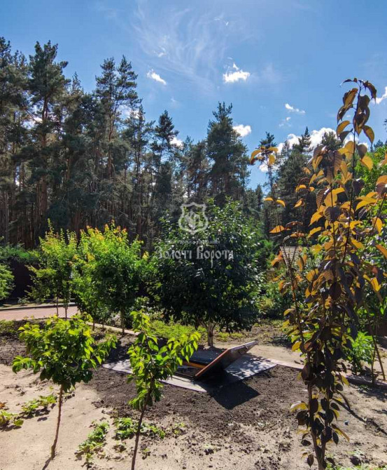 продажа 4-к дом Бориспольский, Процев, 260000 $  - изображение 6