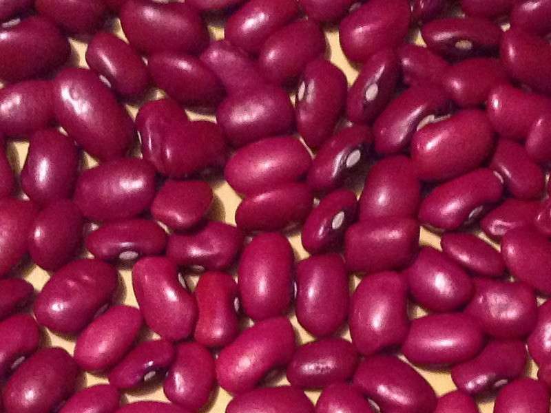 ТОВ Бінс Натур Продукт: сортова квасоля оптом Луцьк - зображення 1