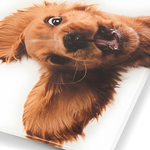 Весы напольные ZELMER ZBS1010 180 кг белые Киев - изображение 6