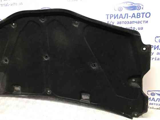 Обшивка капота Chevrolet Captiva 2006-2011 96631313 (Арт. 58205) Київ