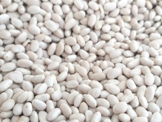 Пропонуємо квасолю від виробника Житомир - зображення 1