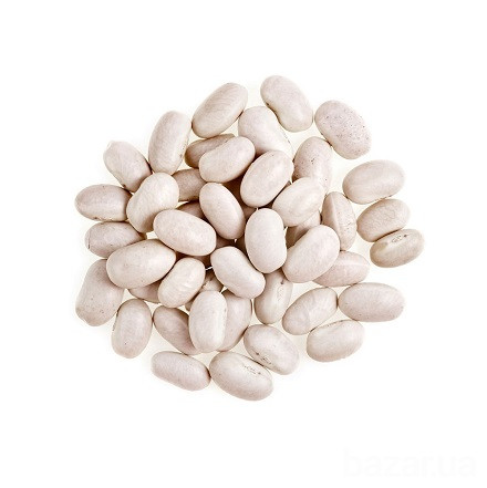 Квасоля продаж опт Дніпро - зображення 1