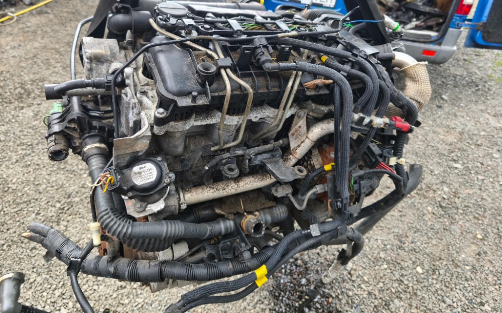 Двигатель в сборе Ford Fusion 1.6 tdci 2002-2006 (7S6Q-6007-DA) Ковель - изображение 6