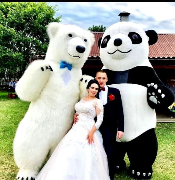 Белый медведь Винница.Хмельник,Немиров,Жмеринка,Липовец,Литин,Погребище,Казатин,Тульчин,Гайсин заказ Винница - изображение 4