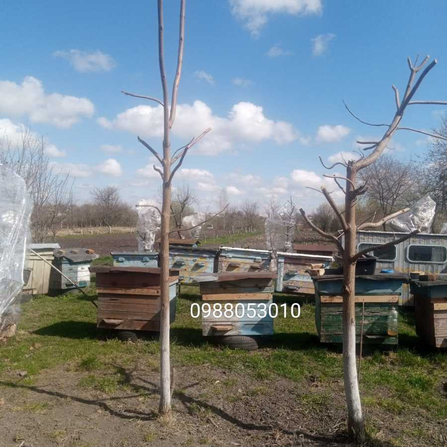 продажа 4-к дом Радеховский, Ястребичи, 49990 евро  - зображення 9
