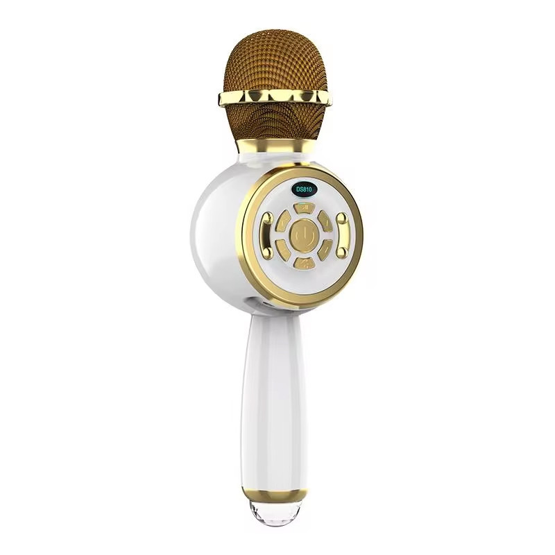 Караоке Микрофон-колонка DS810 Херсон - зображення 1