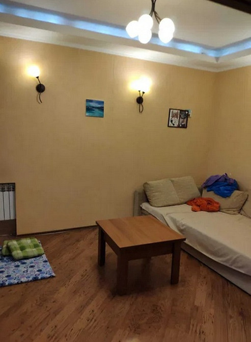 Продам. 3-к.кв. 2/2, центр, спуск Крутогорный Днепр - изображение 9