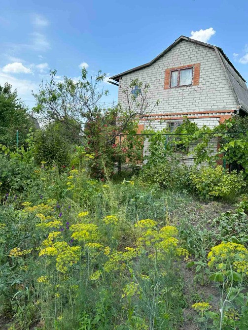 Продам дачу в Романках Кременчуг - изображение 9