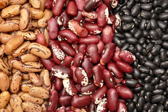 Продам квасолю будь-які обсяги. Могилів-Подільський - зображення 1