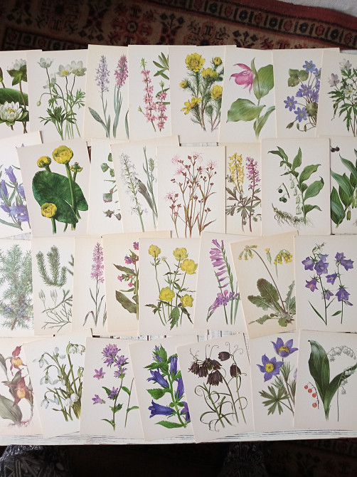 открытки советских времен из коллекции Днепр - изображение 5