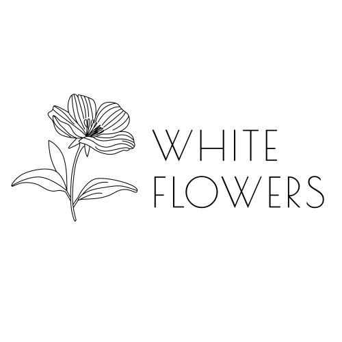 Салон квітів White flowers у Полтаві Полтава - изображение 1