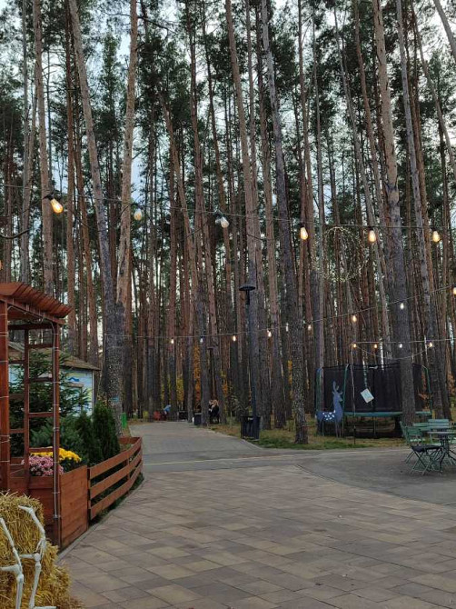 продажа 1-к квартира Киево-Святошинский, Гостомель, 36000 $ Гостомель - зображення 1