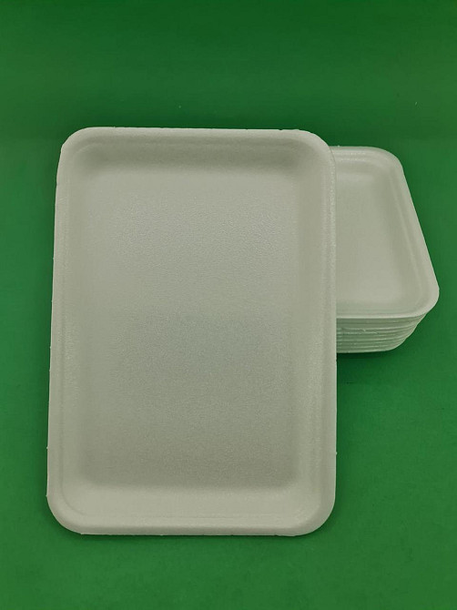 Подложка (лоток) из вспененного полистирола (250*175*20) "ТR-087" G 90  Т-6-20 (250 шт) Харків - зображення 1