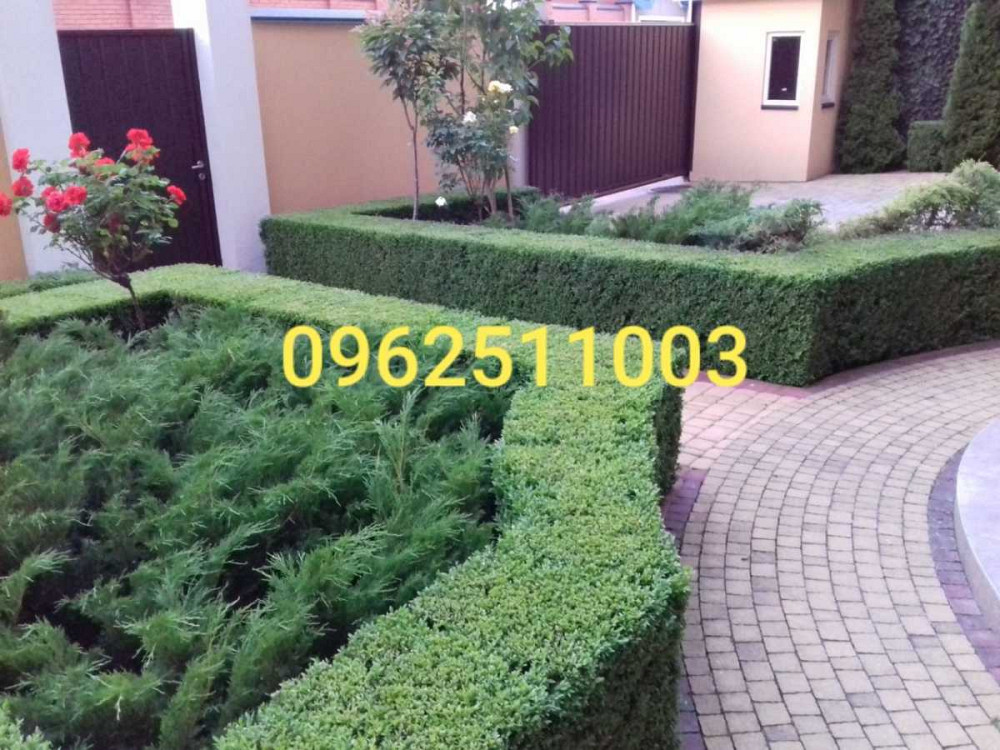 долгосрочная аренда 10-к дом Киев, Печерский, 9500 $/мес. Киев - изображение 1