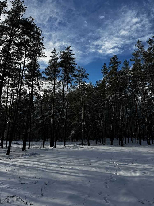 продажа участок под жилую застройку Новомосковский, Песчанка, 19950 $  - изображение 11