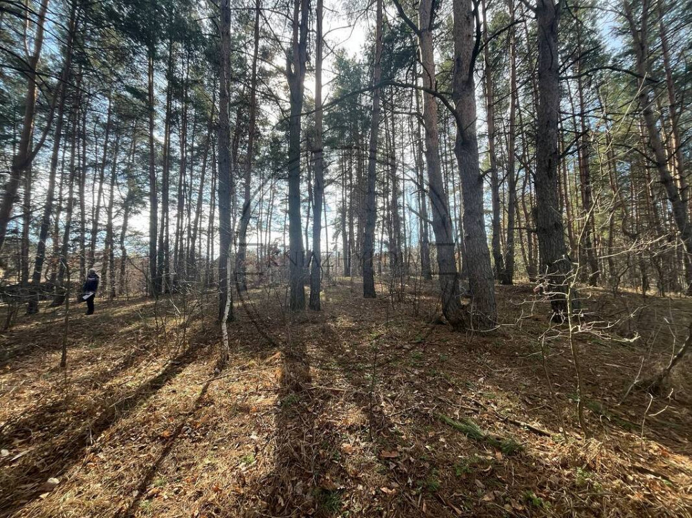 БЕЗ КОМІСІЇ ! Продаж земельної ділянки в Глевасі Код: № 264763 Київ - зображення 5