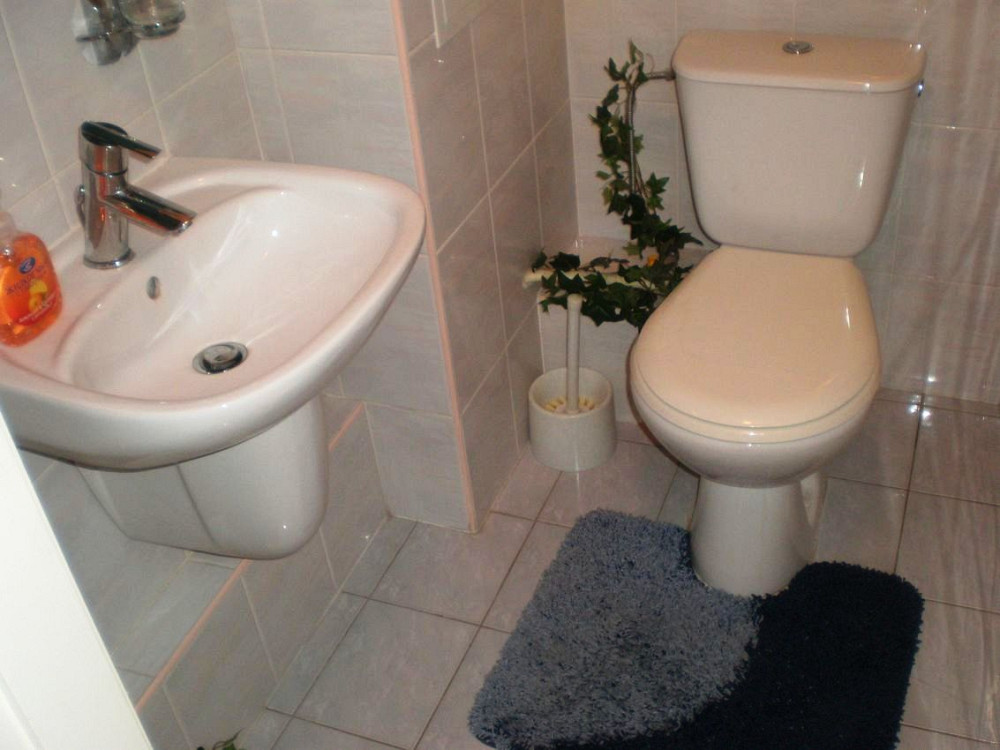 Оренда трикімнатної квартири у Печерському районі, м. Видубичі № 112153 Київ - зображення 12