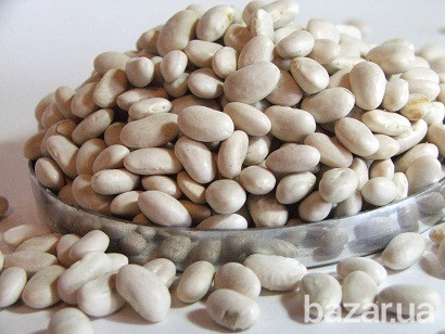 Куплю квасолю будь-які обсяги Харьков - изображение 1