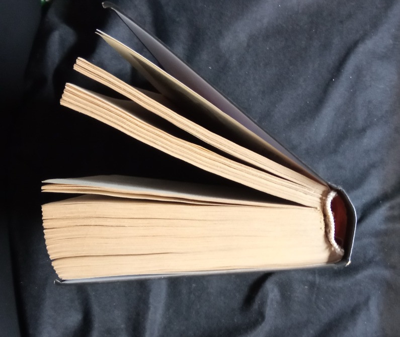 Трилогия «Кодекс Люцифера». Книга в подарок. Южноукраинск - изображение 6