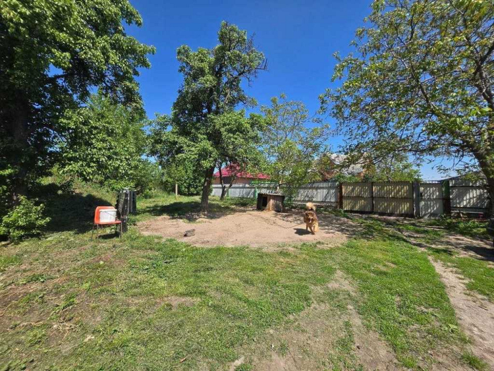 продажа 3-к квартира Васильковский, Путровка, 48000 $  - изображение 4