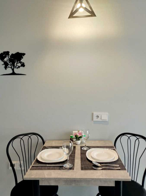 посуточная аренда 1-к квартира Киево-Святошинский, Ирпень, 1000 грн./сутки Ірпінь - зображення 6