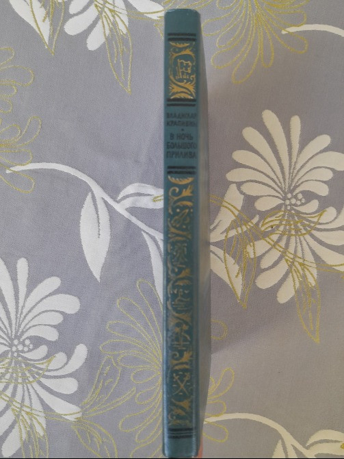 Владислав Крапивин В ночь большого прилива БПНФ приключения фантастика Запоріжжя - зображення 11