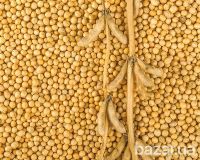 Куплю сою. Самовывоз. Житомир - зображення 1